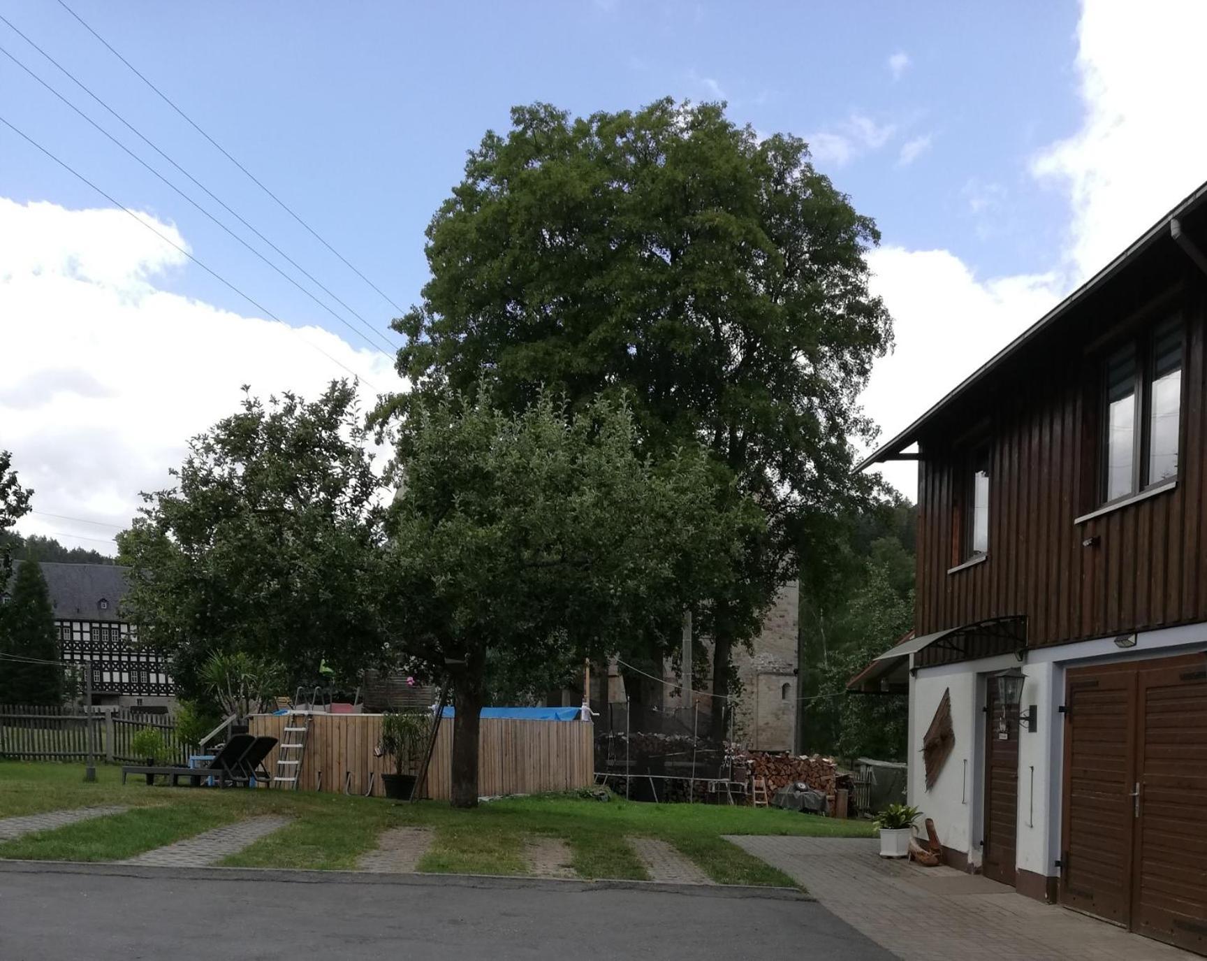 Fewo An Der Klosterruine Paulinzella Mit Kostenfreien Parkplatz Und Wlan Exterior foto